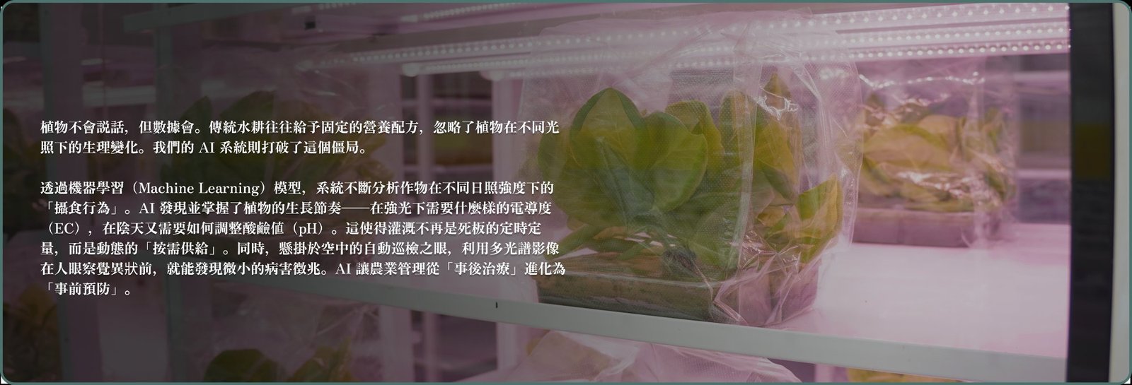 聽懂植物的語言：機器學習驅動的動態生長